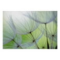 thumbnail image 2 of Tiptophomedecor Peel and Stick Floral Wallpaper Wall Mural - Dandelions Closeup - Removable Wall Decals, 2 of 3