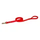 thumbnail image 1 of Correa De Biothane Para Perro 180cmx19mm Jaru, 1 of 1