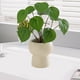 thumbnail image 5 of Decoración de Planta Verde Simulada, Plantas en Macetas Pequeñas, Decoración de Sala de Estar, Flores Artificiales, Plantas Verdes Eternas, Decoración de Bonsái Interior Decoraciones Del Hogar para La, 5 of 6