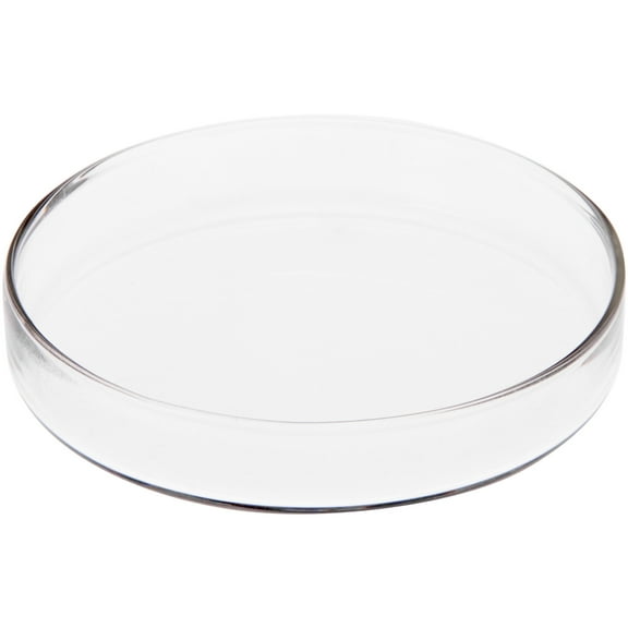 Plymor 3" x 3" Round Glass Display Tray, Pack of 2