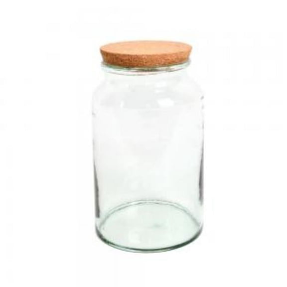 Esschert Design AGG69 Wide Mouth Half Open Terrarium Bottle, Transparent - Medium