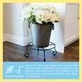 thumbnail image 5 of Achla Designs Large Short Piazza Plant Stand, 17 Inch Diameter, Black Powder Coat Finish, 5 of 5