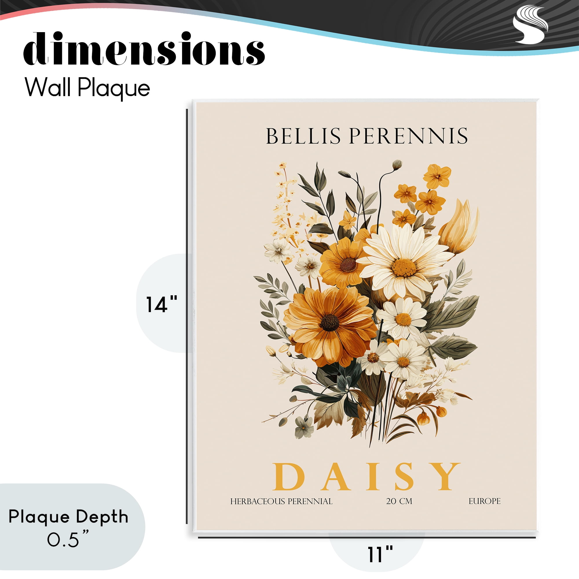 Stupell Industries Nature Daisy Bundle Wall Plaque Art, design by Christopher Giampietro