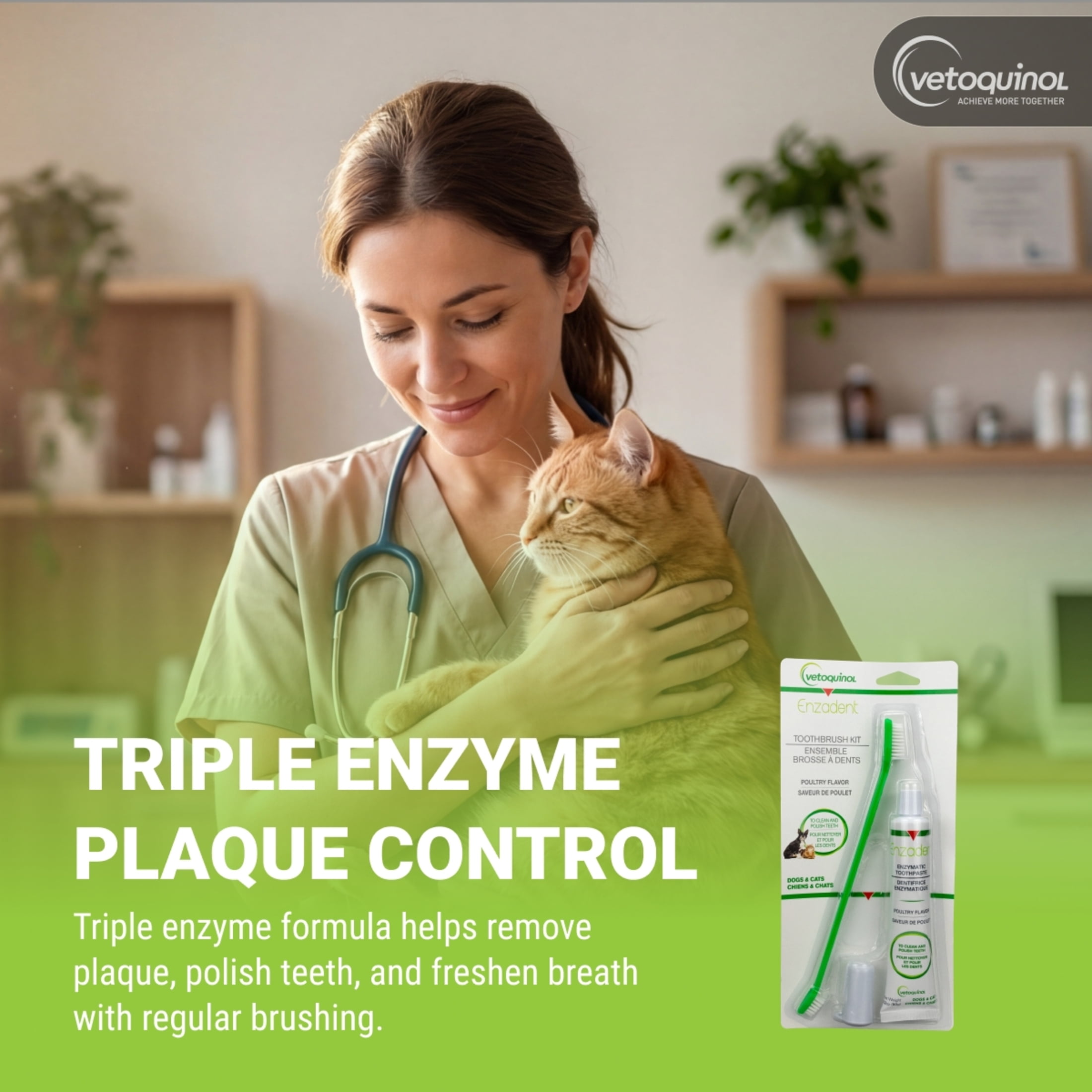 Vetoquinol 411459 Enzadent Enzymatic Toothbrush Kit,90 g