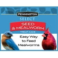 Pennington Seed & Mealworm Treat Cake, Wild Bird Feed, 1.4 lb., 1 Pack