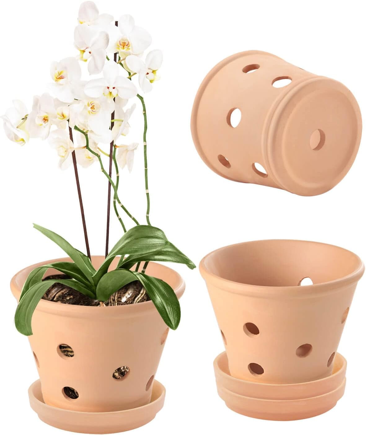 Trianu 3 Pack Terracotta Orchid Pots with Holes and Saucers 5.9 inch