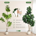 thumbnail image 4 of Qinaqin 6FT Fiddle Leaf Fig Tree Artificial con 108 Leaves Realistic Fau x Ficus Lyrata Trees en 9 inch Blanco Planter Pot Indoor Fake Floor Plants para Oficina Casa Living Sala de Profundidadcor, 4 of 7