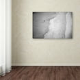 thumbnail image 3 of Trademark Fine Art 'One' Canvas Art by Goncalo Simoes, 3 of 3