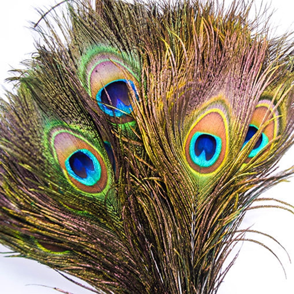 Natural Peacock Feathers Bulk Pack 50 Pieces, 10–12 Inch (25–30 cm), for DIY Crafts, Home, Wedding and Event Decoration