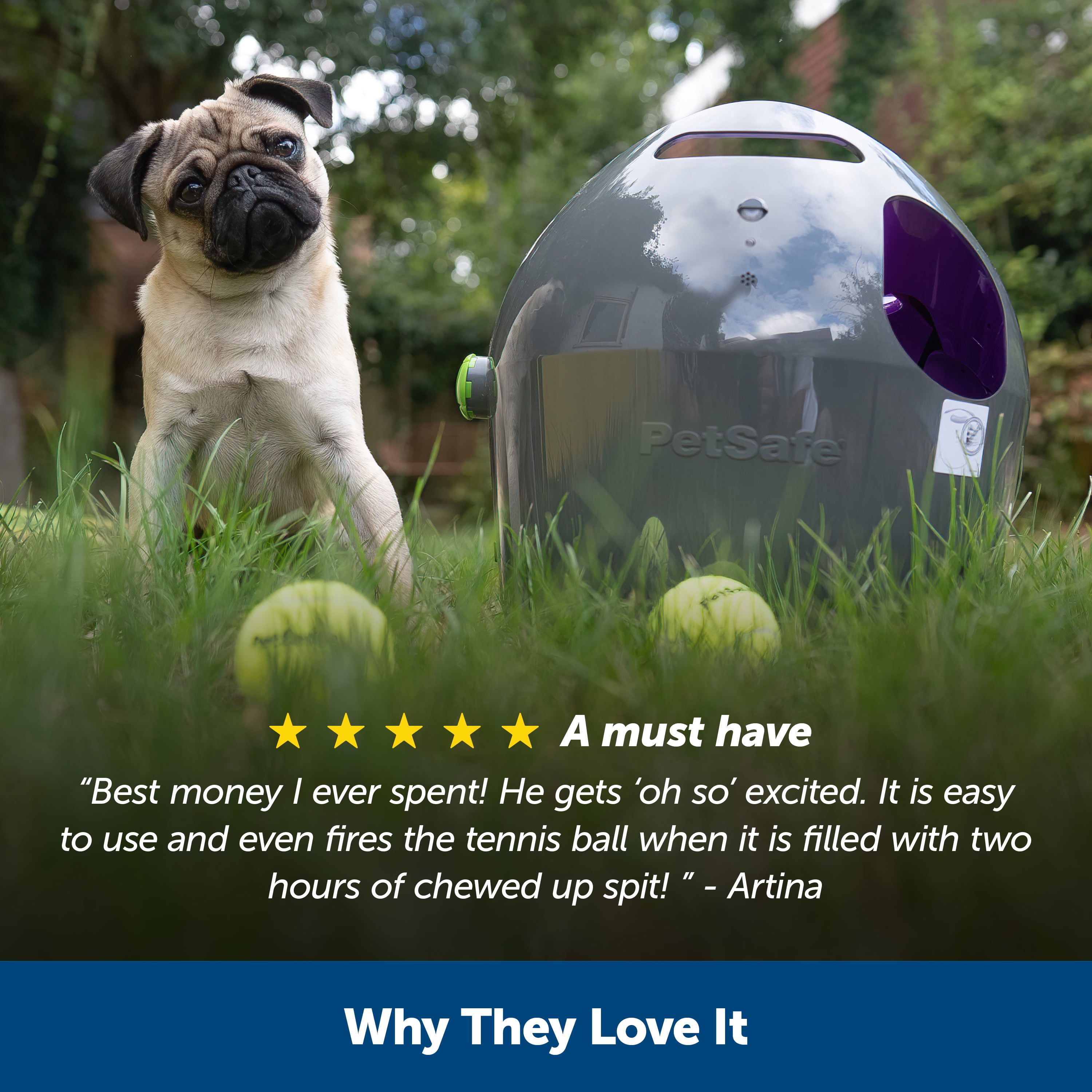 Petsafe automatic ball launcher dog toy outlet