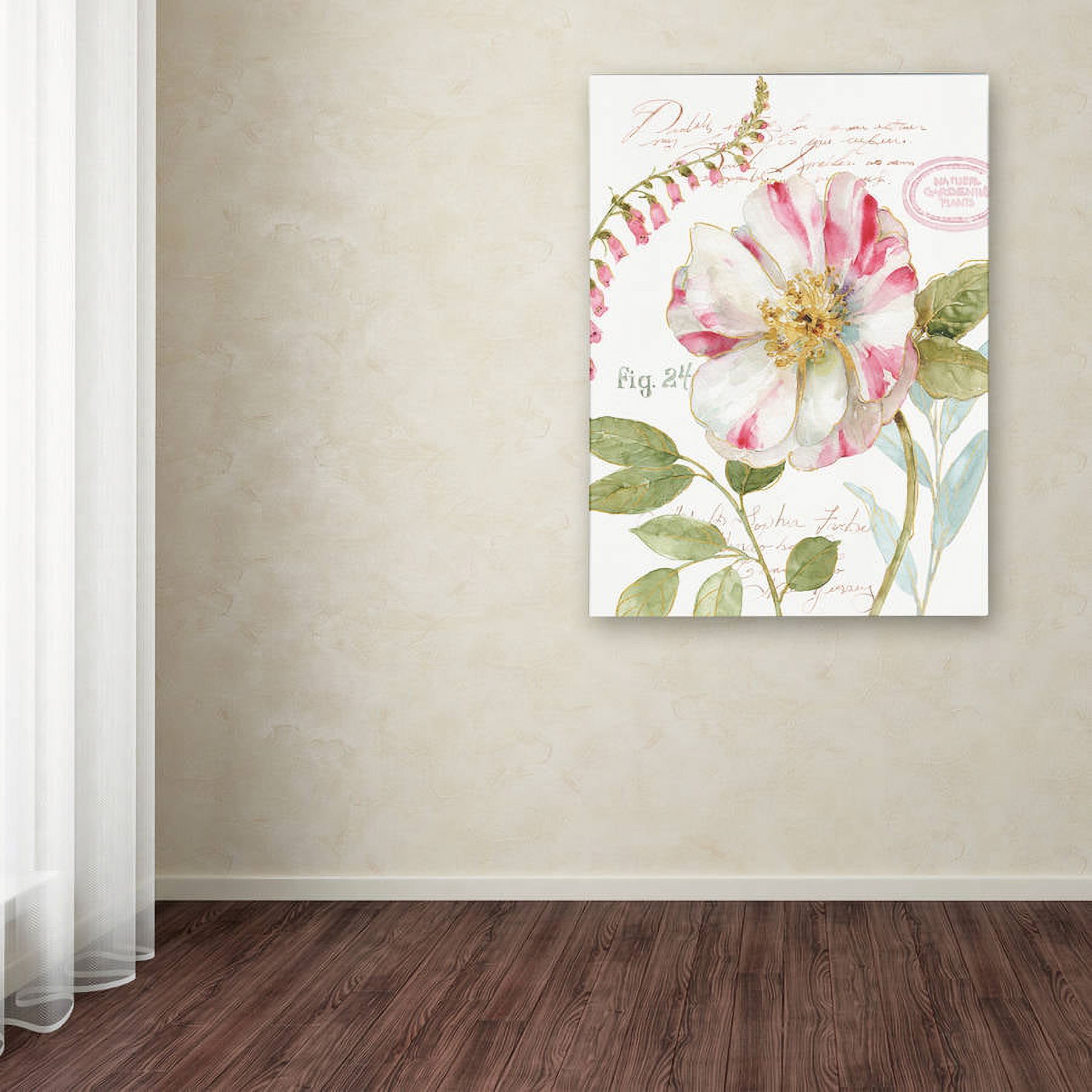 Trademark Fine Art "Rainbow Seeds Botanical II" Canvas Art by Lisa Audit