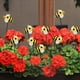 thumbnail image 5 of 20 Uds. de Abejitas Enchufables, Estacas de Jardín, Decoración de Estacas, Estacas de Jardín, Estacas de Jardín, Letrero de Abejas, Estacas de Jardín Decorativas, 5 of 5
