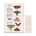 thumbnail image 2 of Yuya - Pack Primer Para Ojos 8ml + Sombras Metamorfosis 27g, 2 of 3