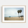 thumbnail image 2 of Palms - Los Angeles California Photography Unframed Wall Art Print 5 x 7 inches, 2 of 7