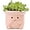 Pink, variant on Cute Face Planter Pot, Small Resin Head Planters for Indoor Plants, Funny Smiling Face Flower Pot Succulent Planter with Drainage Hole, Gift IdeaI for Birthday Christmas (Pink)