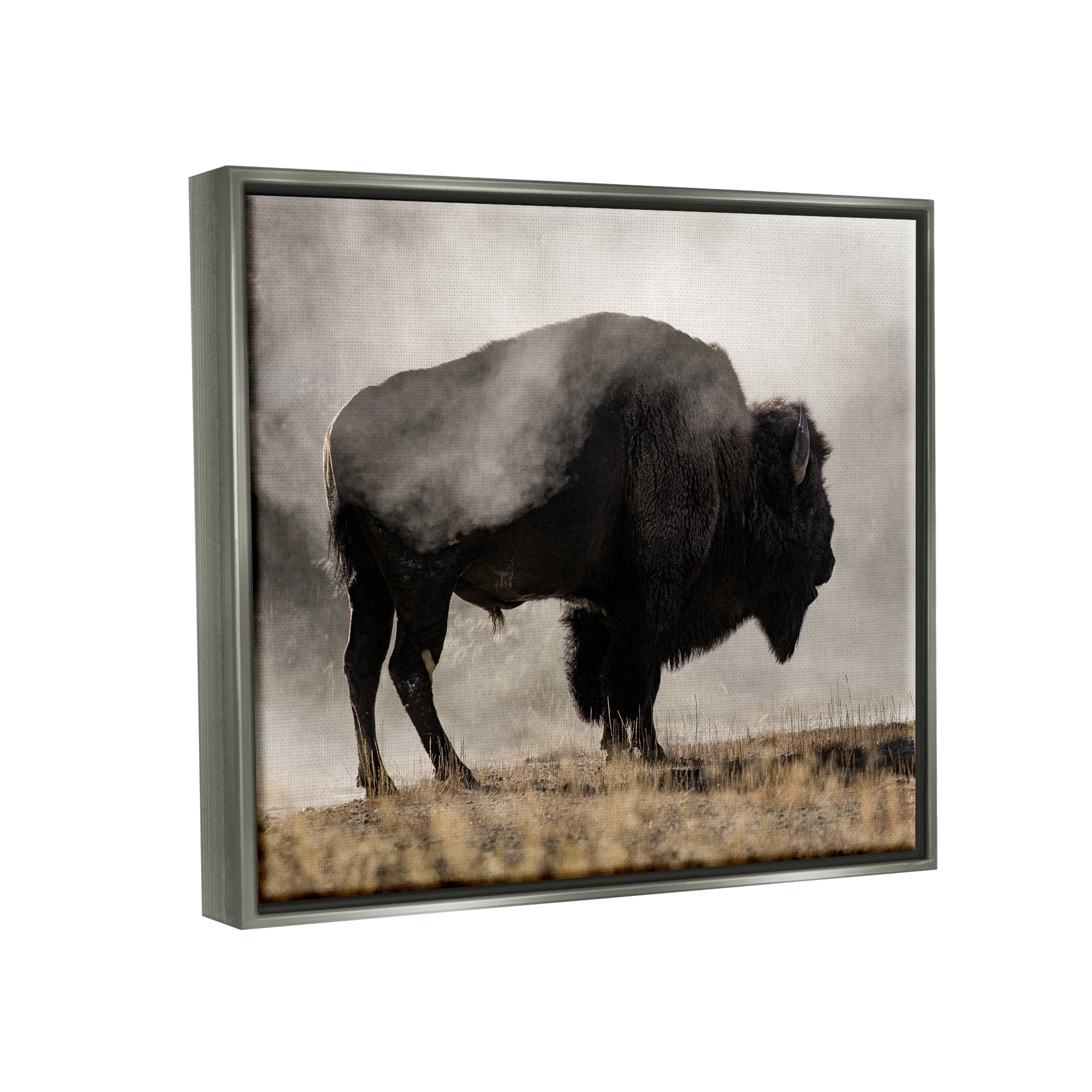 Stupell Industries Powerful Bison Grazing Foggy Rural Pasture Photography Photograph Luster Gray Floating Framed Canvas Print Wall Art, Design by Danita Delimont