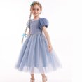 thumbnail image 2 of Vestido de princesa de primavera y verano Vestido de mujer con mangas abullonadas Vestido infantil grande Vestido de Frozen, 2 of 5