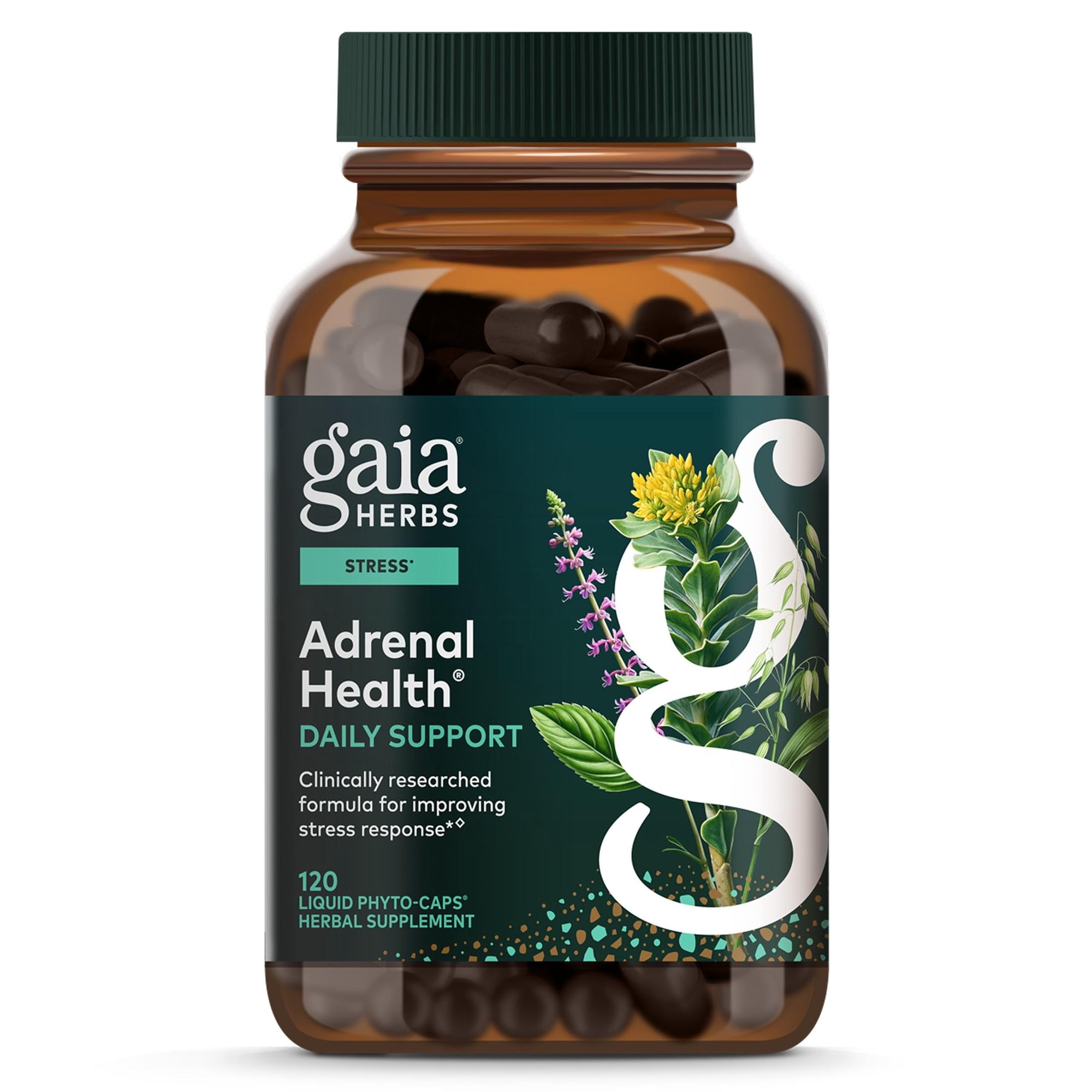 Gaia Herbs Adrenal Health Daily Support - Herbal Supplement with Ashwagandha, Holy Basil & Schisandra - Help Maintain Healthy Energy & Stress Levels* - 120 Vegan Liquid Phyto-Caps (60 Servings)