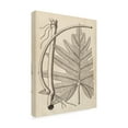 thumbnail image 2 of Trademark Fine Art 'Distinctive Leaves I' Canvas Art by Vision Studio, 2 of 4