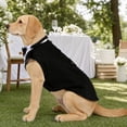 thumbnail image 4 of Dog Tuxedo Suit Pet Formal Wedding Outfit Adjustable Dog Suit Jacket with Bow Tie Classic Gentleman Dress Clothes for Medium Large Dogs Holiday Party Wear, 4 of 4
