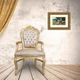 thumbnail image 3 of Emil Rau 18x14 Gold Ornate Wood Frame and Double Matted Museum Art Print Titled - A Summer Day in Front of the House, 3 of 4
