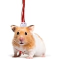 thumbnail image 5 of Ludlz Adjustable Hamster Leash Small Animal Harness Rope Harness Towing Rope for Walking Pet Hamster Squirrel-Random Color, 5 of 7