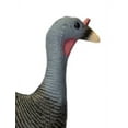thumbnail image 5 of Mossy Oak Foam Upright Hen Turkey Decoy, 5 of 6