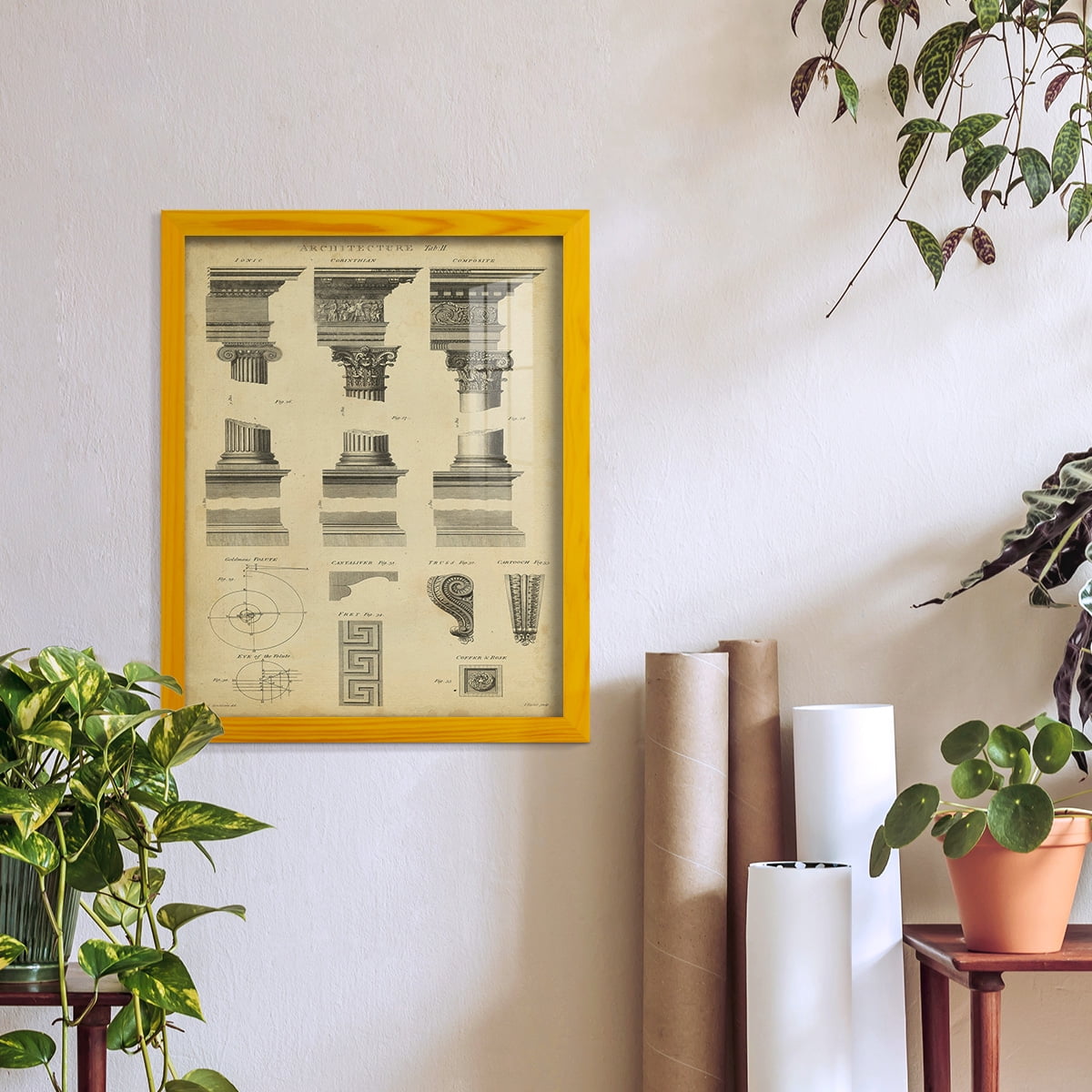 Encyclopediae III -Framed Print w/glass-Sunflower Yellow