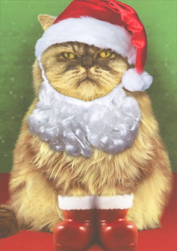 Recycled Paper Greetings Grumpy Cat in Santa Suit Christmas Card - Walmart.com - Walmart.com