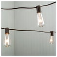 thumbnail image 6 of 9-Foot Long Electric LED Patio Light Strings with 10 ST40 Bulbs, 6 of 7