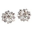 thumbnail image 1 of Milaget 2 Pcs Elegant Rhinestone Clips s Jewelry Crystal Decoration Buckle Heels, 1 of 8