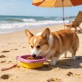 thumbnail image 3 of Dog Bowl Silicone Foldable Portable BPA-Free No Leak Travel Cup for Outdoor Camping Small Medium Pets by MPOISVA, 3 of 4