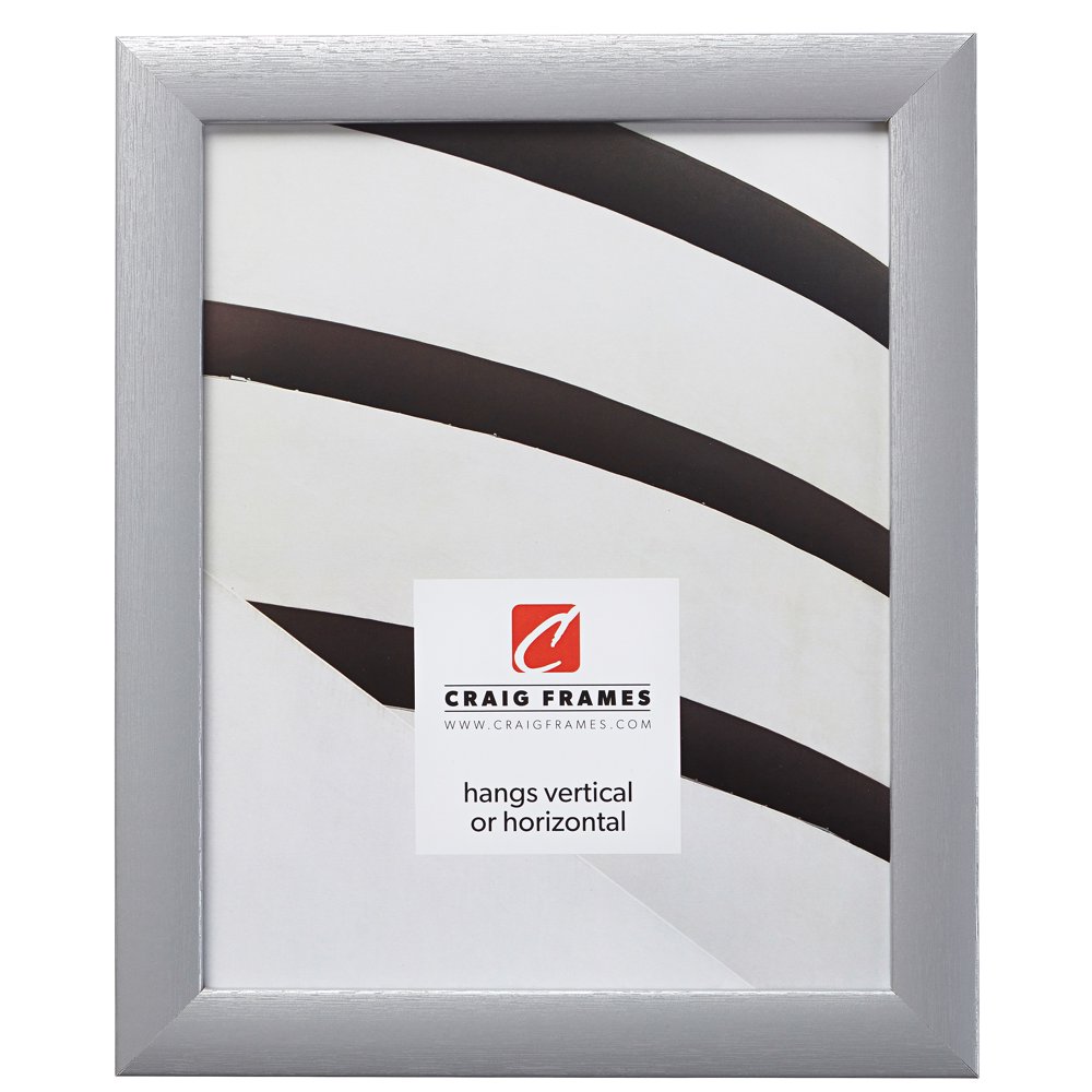 Craig Frames 23247018 Picture Frame, 20x26 inch, Brushed Silver