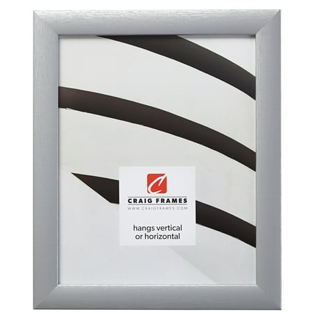 Craig Frames 23247018 Picture Frame, 12 x 12 Inch, Brushed Silver