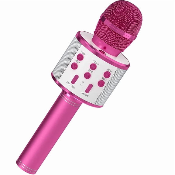 Karaoke Microphone with Speaker and Bluetooth