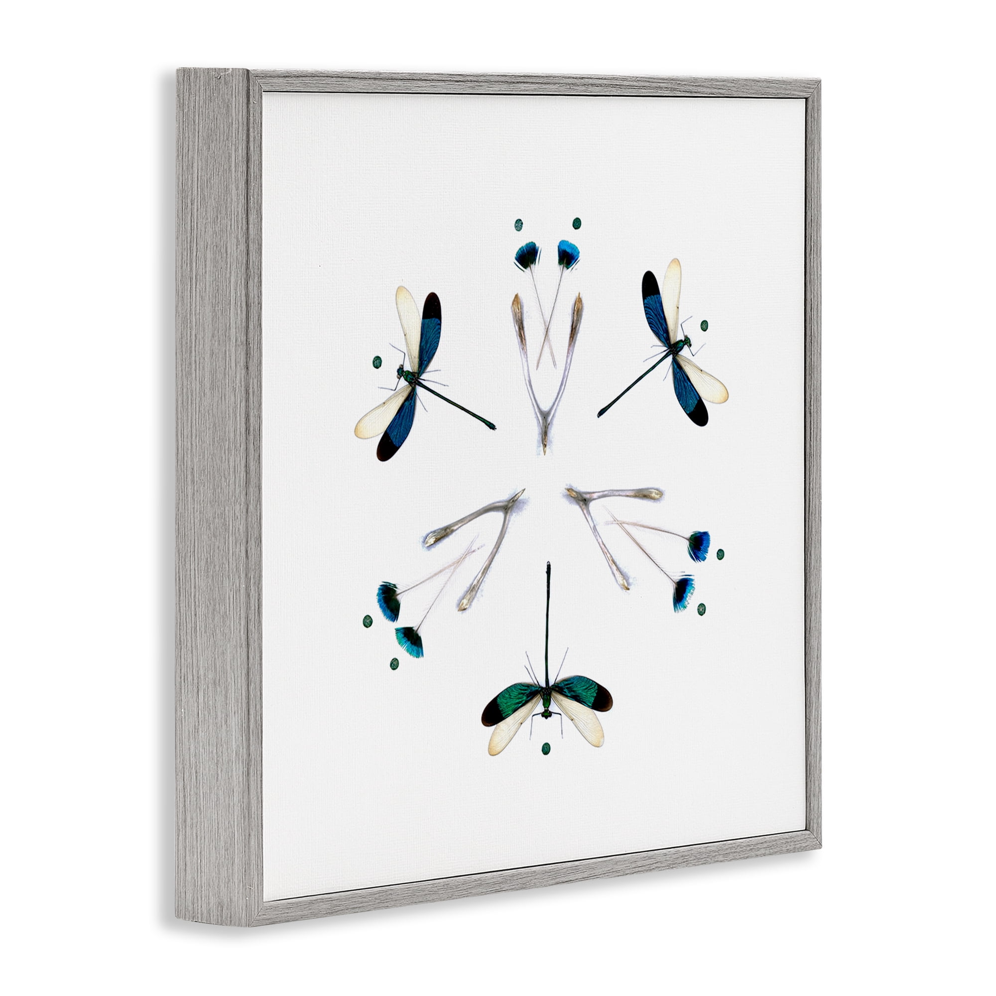 Stupell Industries Simple Dragonfly Symmetry Gray Framed Giclee Art, design by Beth Adoette