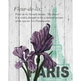 thumbnail image 2 of Soave, Alicia 26x32 White Modern Wood Framed Museum Art Print Titled - Paris Iris, 2 of 4