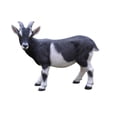 thumbnail image 1 of Hi-Line Gift Ltd Statue de Chèvre, Noir/blanc, 1 of 1