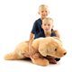 thumbnail image 1 of Peluche para perro RB Royal Brooks, gigante, marrón, 89 x 38 cm, 1 of 6