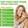 thumbnail image 2 of Cat Hairball Support Drops, Cat Hairball Control, Skin & Coat Health, Digestive Comfort, for Kittens & Adult Cats 2floz/60ml, 2 of 9
