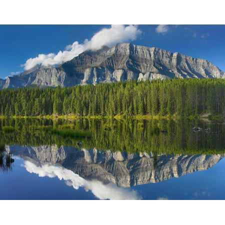 Mount Rundle and boreal forest reflected in Johnson Lake Banff National Park Alberta Canada Poster Print by Tim