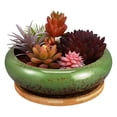 thumbnail image 1 of MOVTOTOP Succulent Pots, 6 Inch Succulent Planters Pots With Tray Ceramic Planter Pot With Drainage, Shallow Planters Bonsai Pots For Indoor Plants (No Plant), 1 of 7