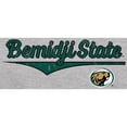 thumbnail image 2 of Men's Ash Bemidji State Beavers American Classic T-Shirt, 2 of 2