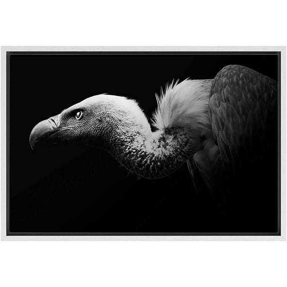 IDEA4WALL Framed Canvas Art Wall Decor Bald Headed Eagle Animals Wildlife Photography Realism Modern Closeup Dramatic Black and White for Dorm Home Office - 16"x24"