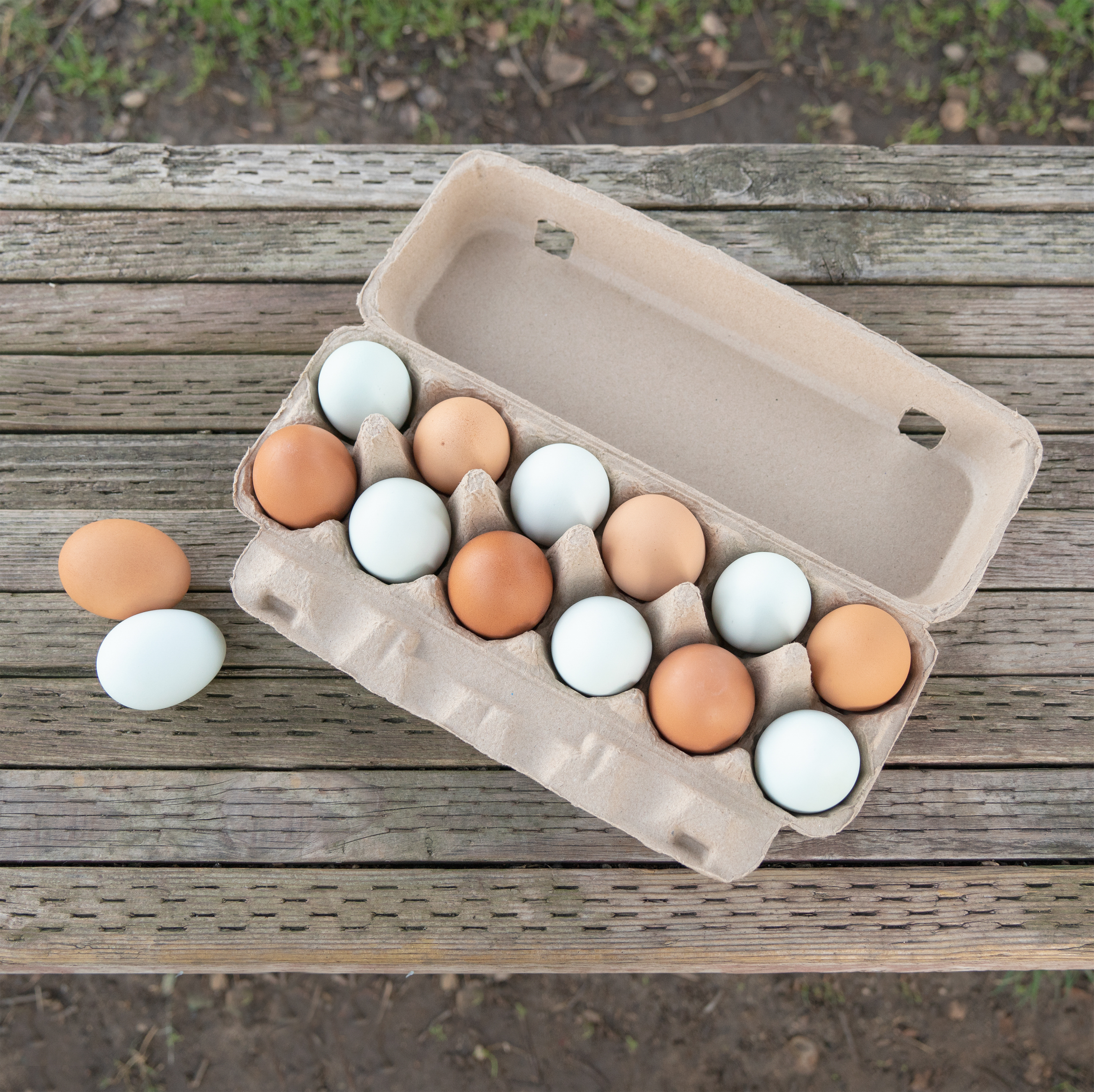 Hearty Produce 2x6 Egg Cartons (30-Pack) | 12 Count | Biodegradable & Recycled Pulp | Perfect for Family-owned Farm