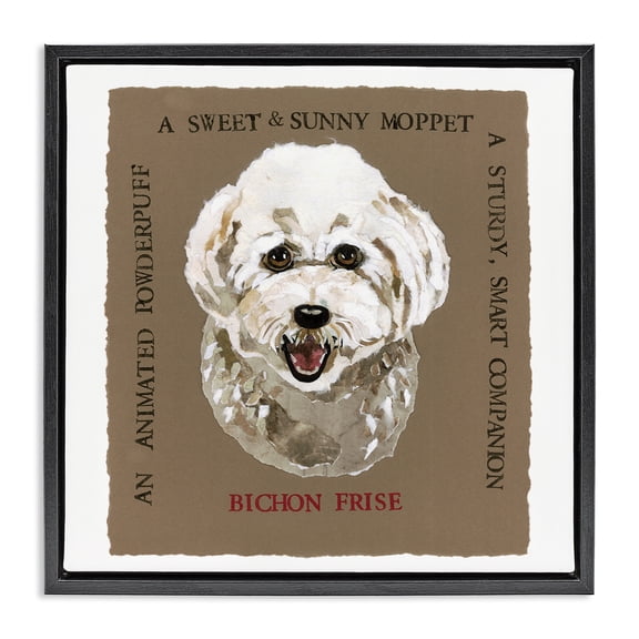 Stupell Industries Fun Bichon Frise Phrases Animals Painting Black Floater Framed Canvas Art Print Wall Art, 18 x 18