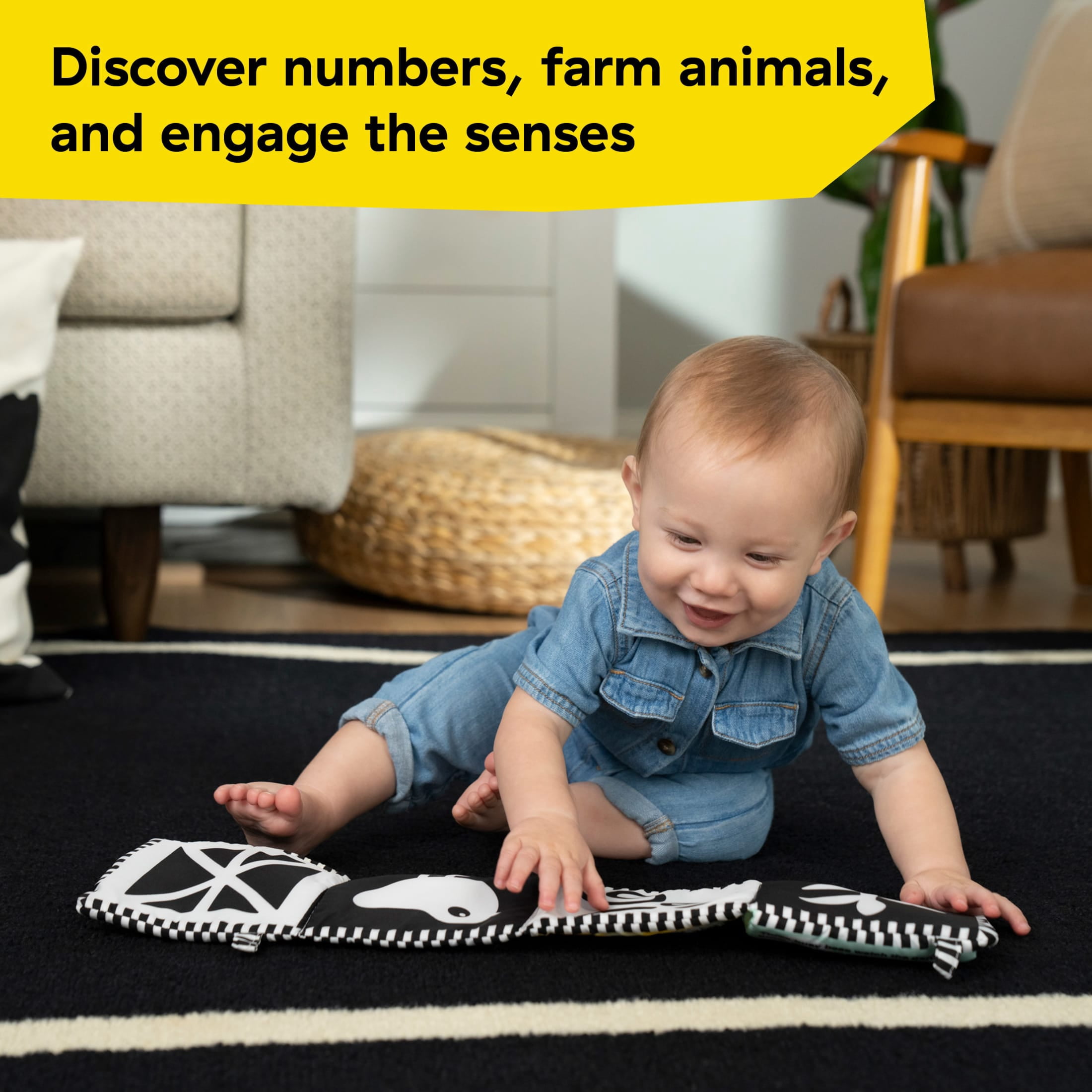 Baby Einstein Farm Explorers Counting at The Farm Soft Activity Baby Book, Ages 0 Months+