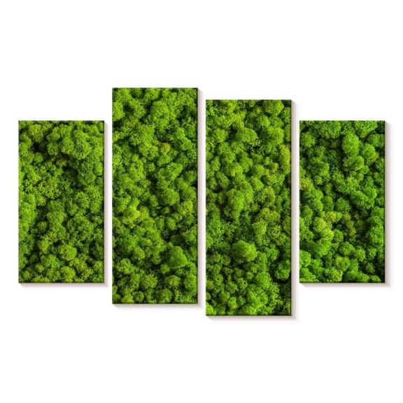 Elephant Stock Green Reindeer Moss Wall Art - Horizontal Multi Panel Canvas - Living Room Wall Decor - Floral And Botanical Multi Panel - Green And Decor - 24" x 14"