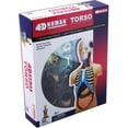 thumbnail image 1 of Tedco Toys  4-D Human Torso Anatomy Model, 1 of 1