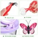 thumbnail image 5 of juego de lupa para insectos, caja de observación de insectos, lupa, tarro transparente con forma de mariposa y pinzas., 5 of 8